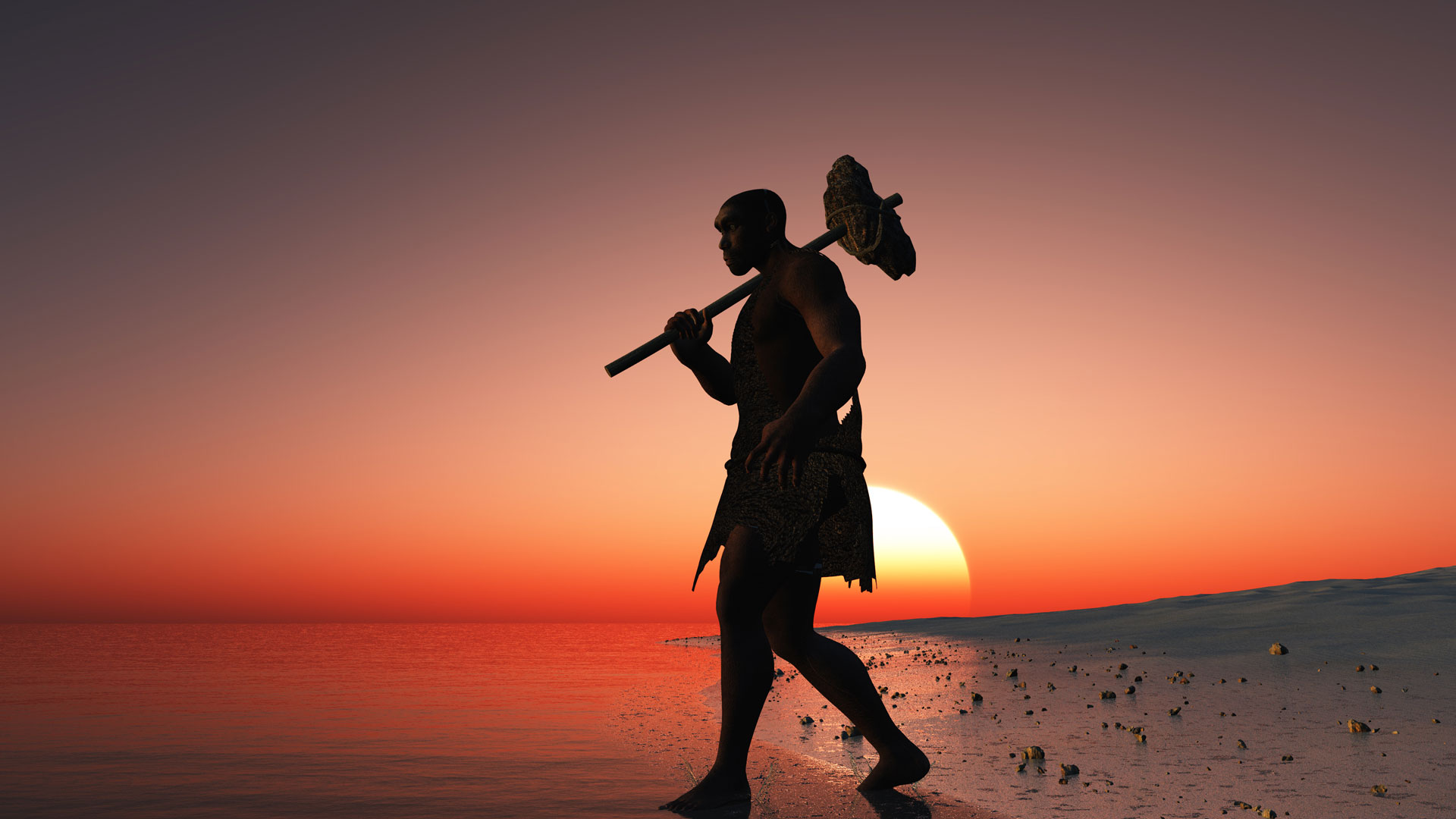 Telling the story of how early man moved across the globe