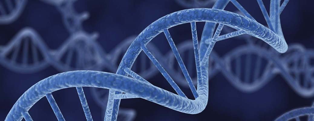 TITLE - £1 million in funding is supporting new researchers in evolutionary geno